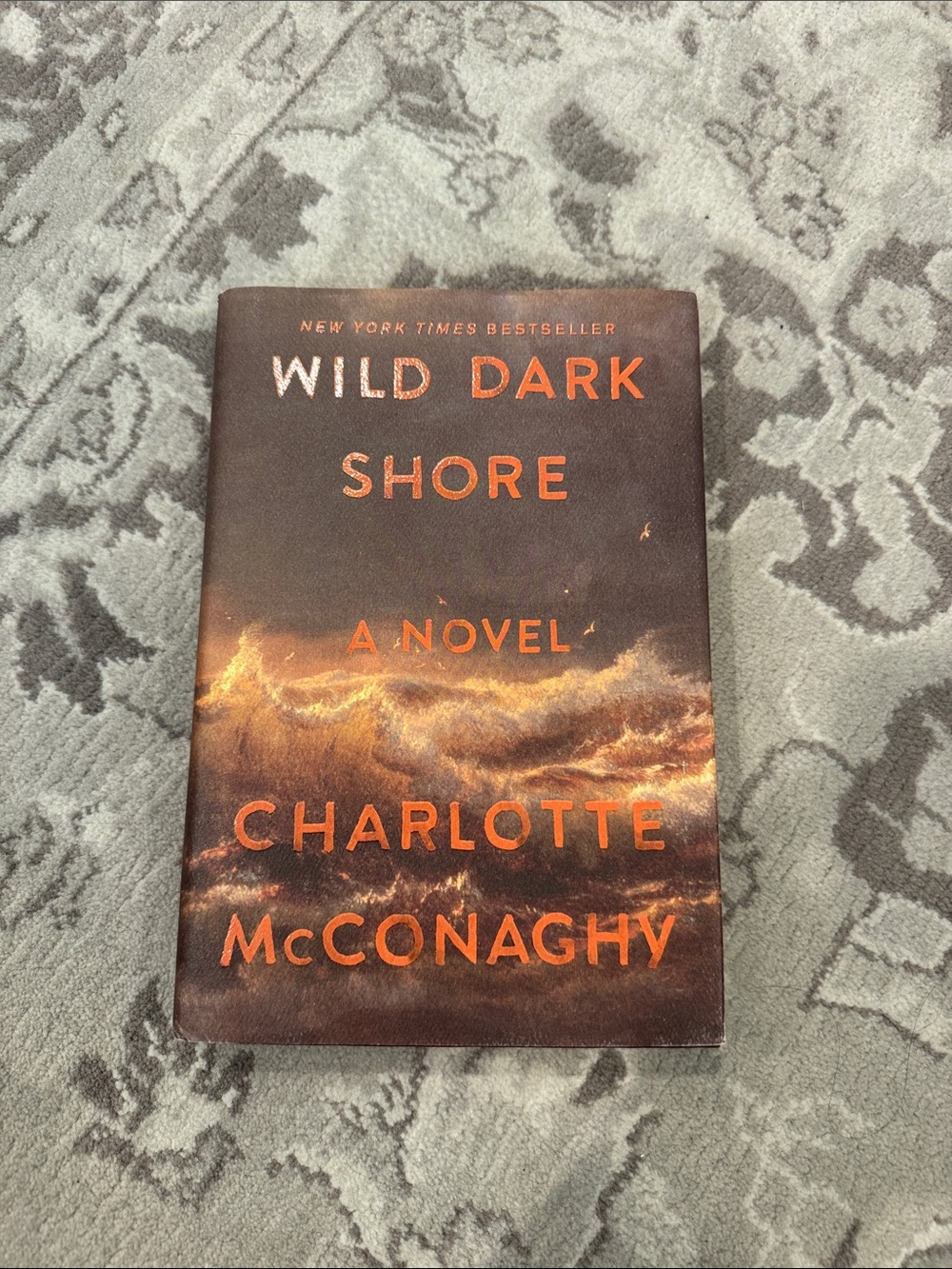 Wild Dark Shore by Charlotte McConaghy